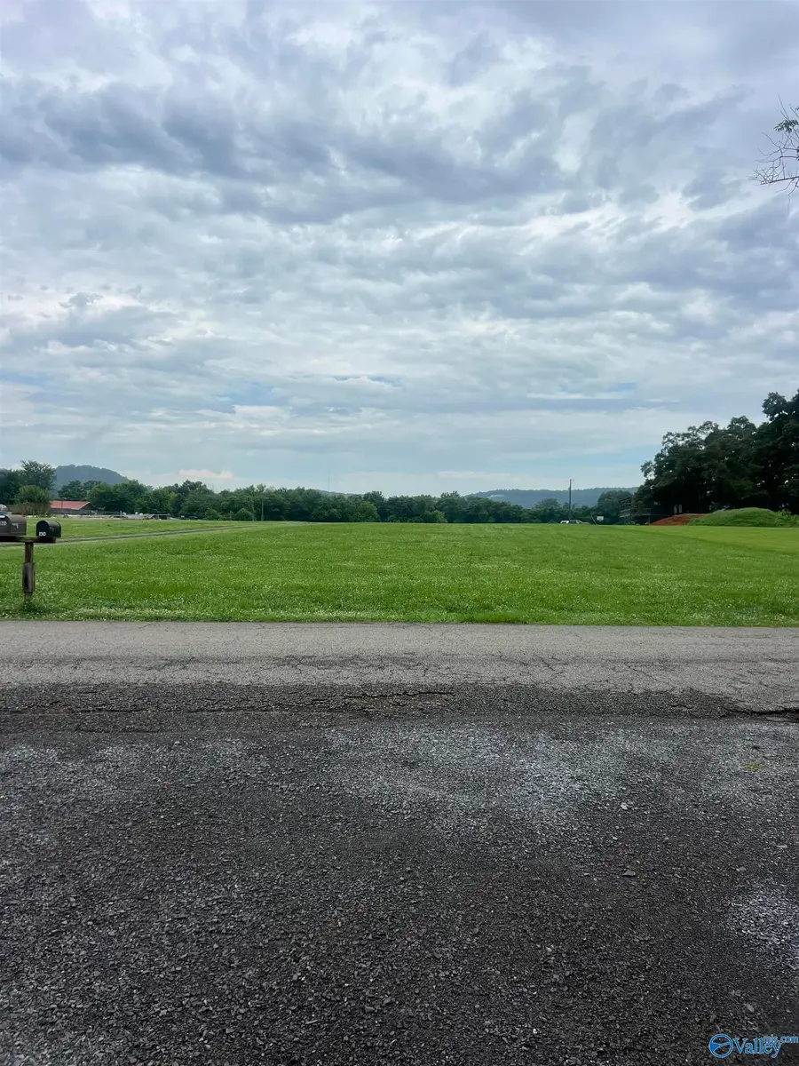 Lot 7 Browns Creek Road, Guntersville, AL 35976 - #2