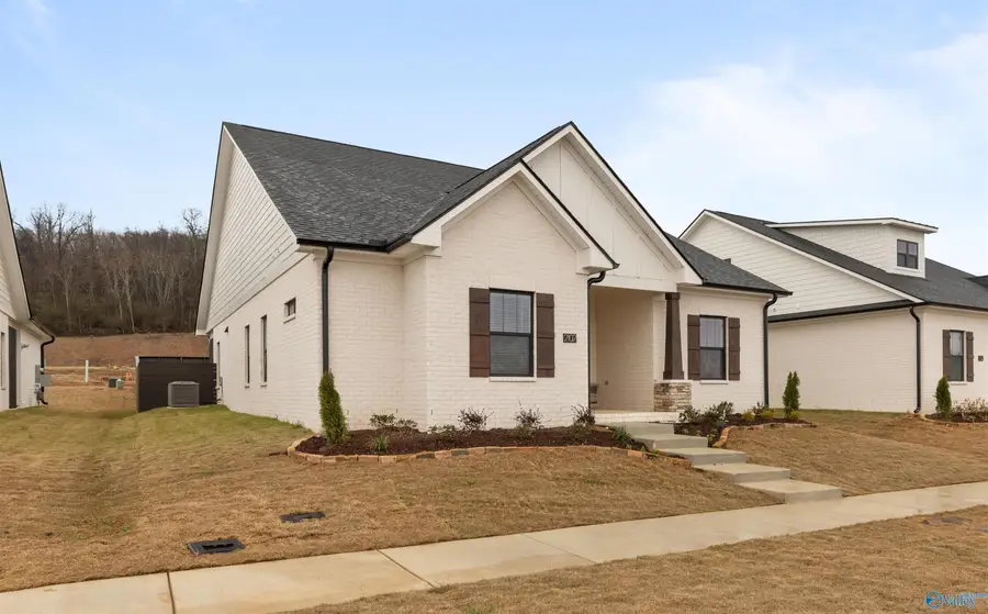 2110 Apex Street, Huntsville, AL 35811 - #2