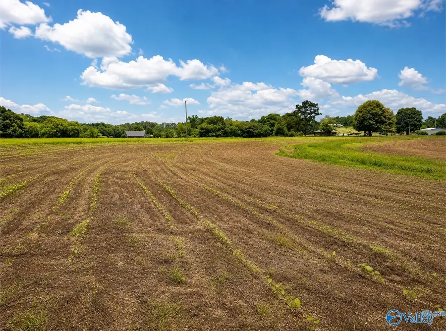 44 acres County Road 83, Centre, AL 35960 - #2