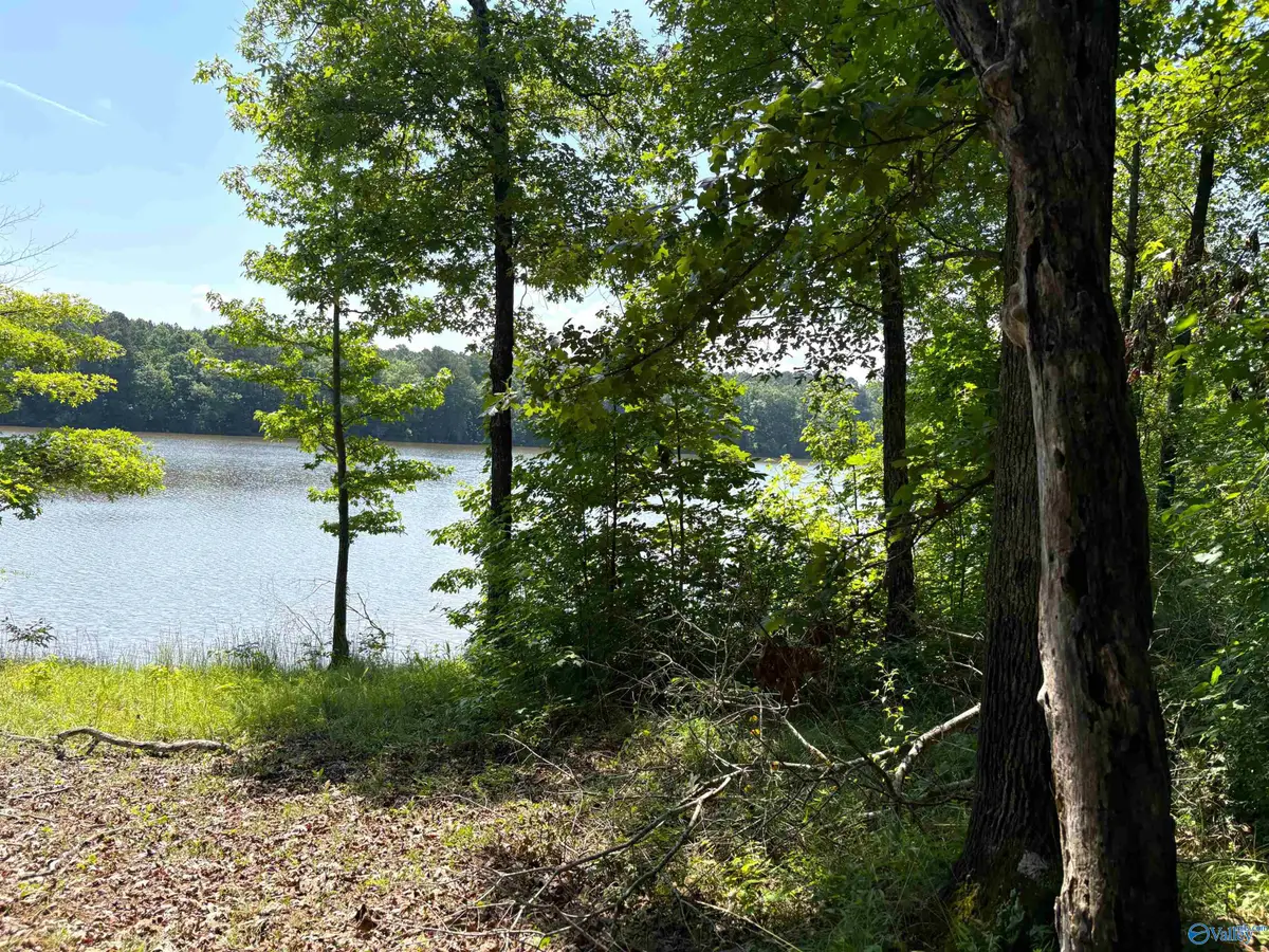 62+/- Acres County Road 628, Cedar Bluff, AL 35959 - #1