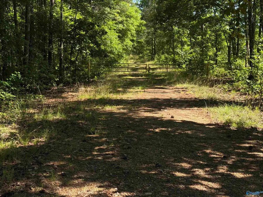 62+/- Acres County Road 628, Cedar Bluff, AL 35959 - #3
