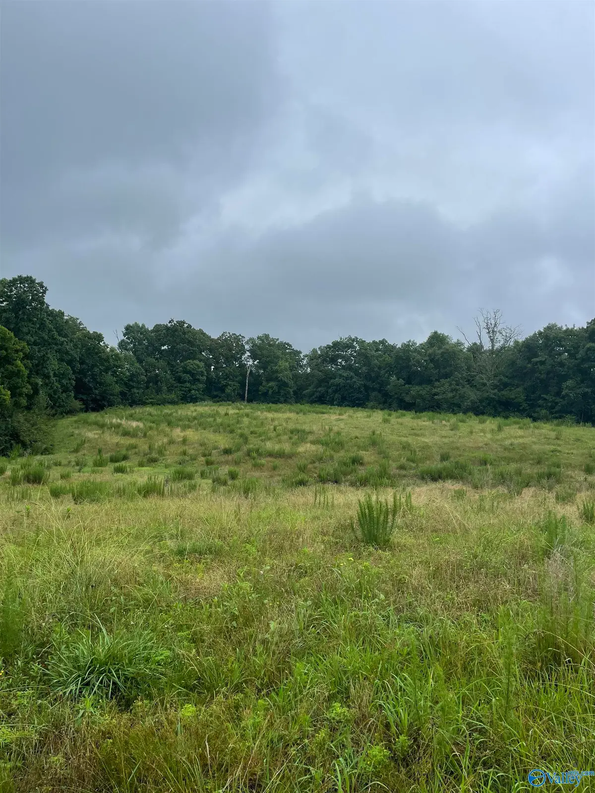 2403 Hog Jaw Road, Arab, AL 35016 - #1