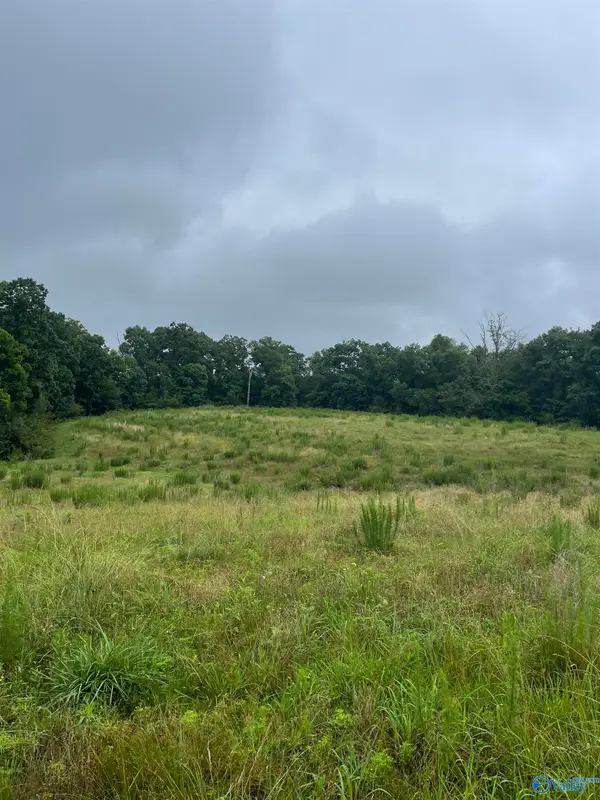 2403 Hog Jaw Road, Arab, AL 35016