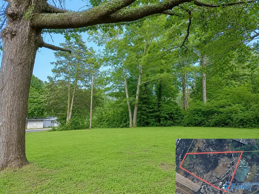 101 Shropshire Drive, Centre, AL 35960 - #3