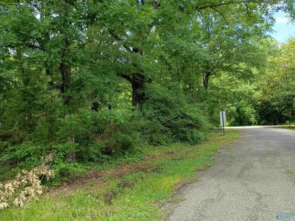 LOT 103-106 Brooklyn Street, Centre, AL 35960