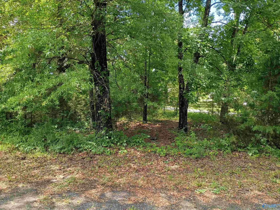 LOT 103-106 Brooklyn Street, Centre, AL 35960 - #2