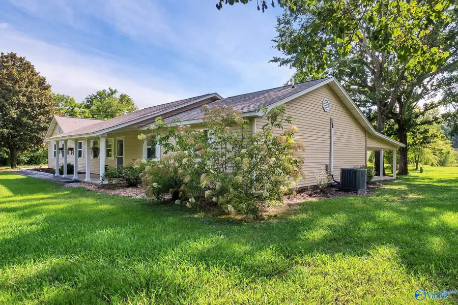 51 Collins Place Pvt Drive, Danville, AL 35619 - #3