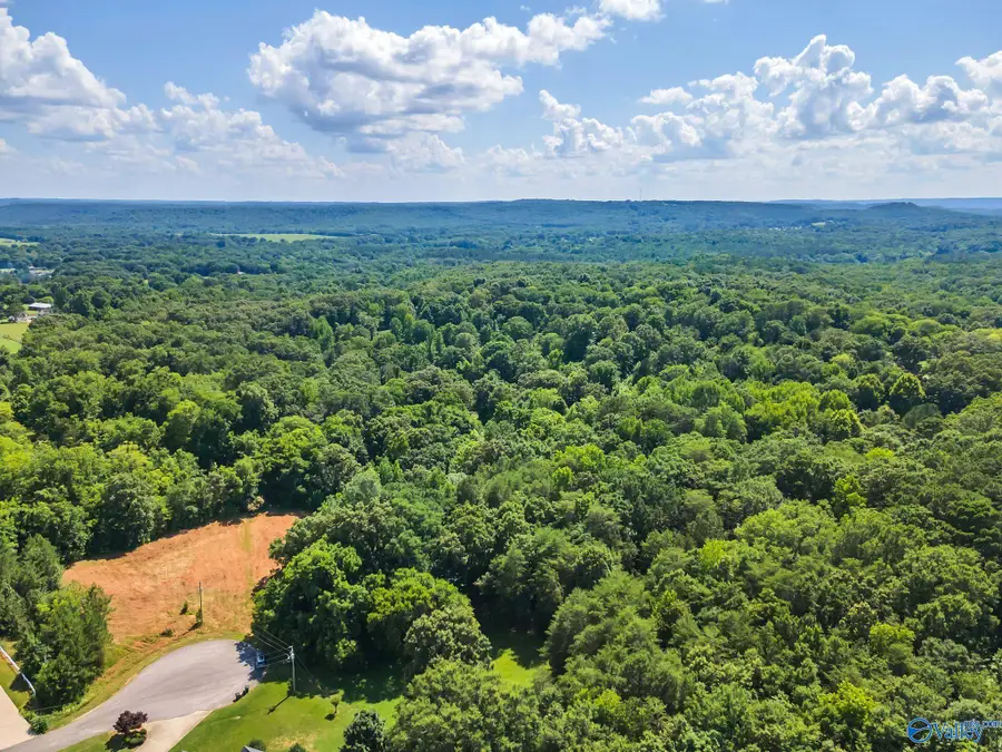Lot 7 & 8 Kelly Lane, Tuscumbia, AL 35674 - #3