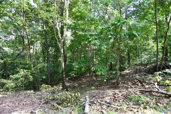 LOT 67 Prince Circle, Southside, AL 35907