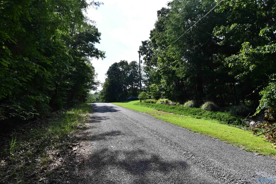 LOT 67 Prince Circle, Southside, AL 35907 - #2