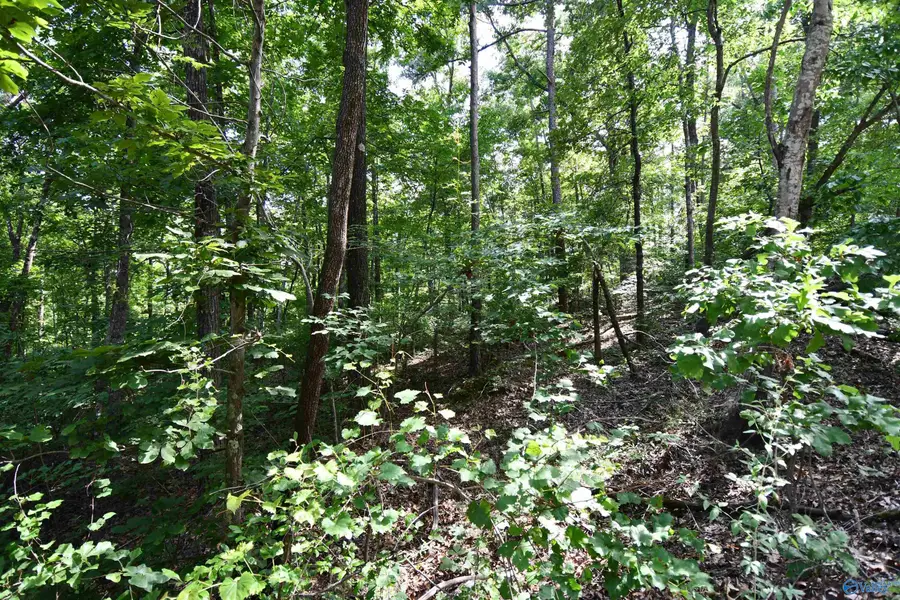 LOT 67 Prince Circle, Southside, AL 35907 - #3
