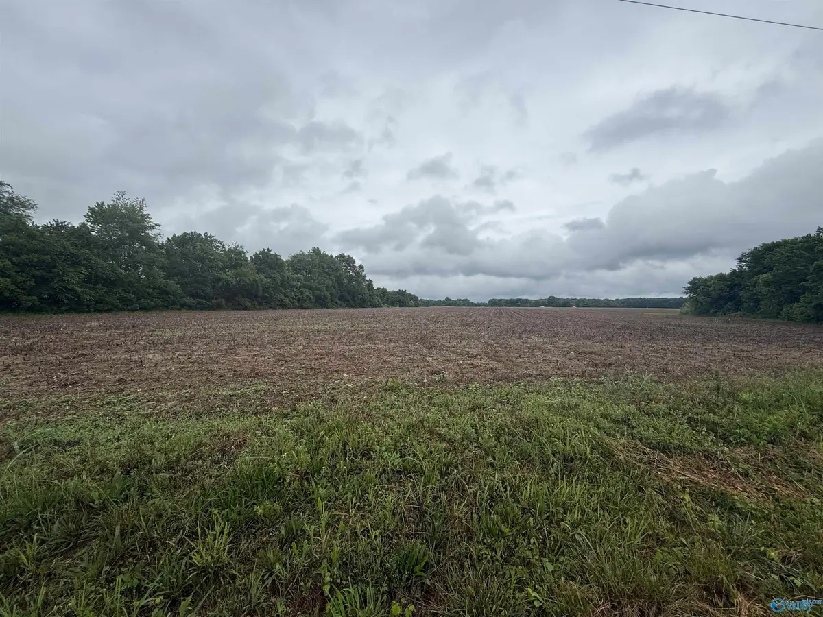 4 Pendergrass Road, Flintville, TN 37335 - #1