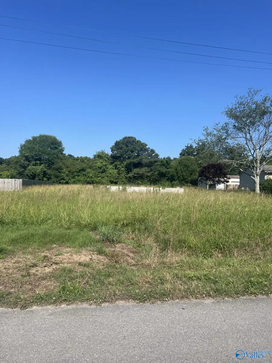 Lot 9 County Road 1840, Arab, AL 35016 - #3