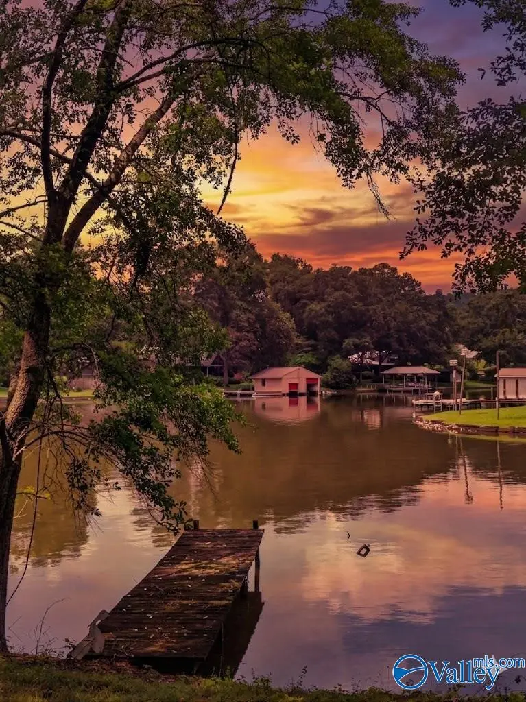 1416 Leota Lake Drive N, Southside, AL 35907 - #3