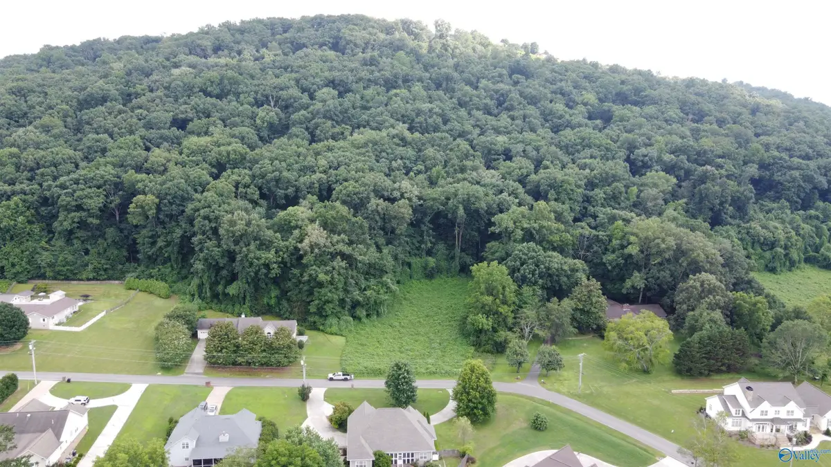 25.27 AC Sorter Road, Guntersville, AL 35976 - #1