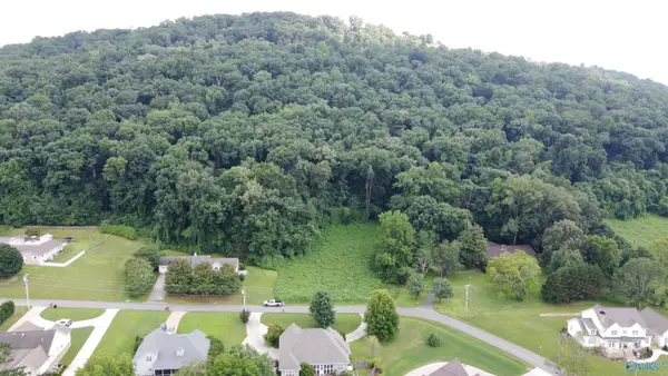 25.27 AC Sorter Road, Guntersville, AL 35976