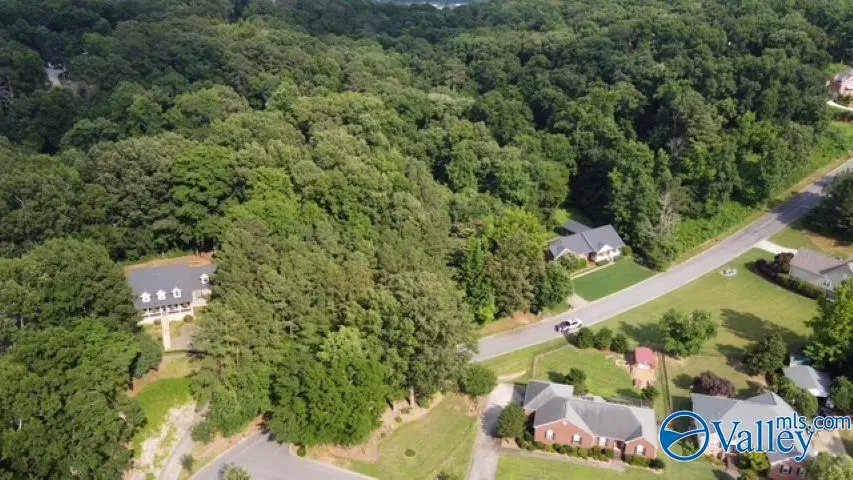 Lot 31 Hualapai Lane, Guntersville, AL 35976 - #1