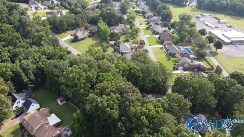 Lot 31 Hualapai Lane, Guntersville, AL 35976 - #3