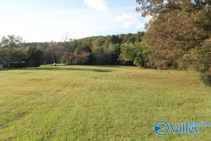 1.86 County Road 622, Valley Head, AL 35989 - #1