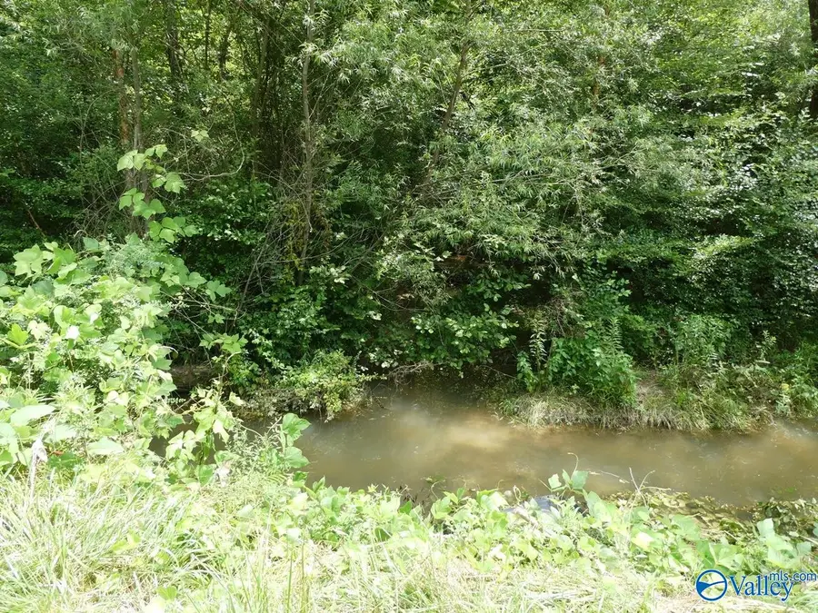 7.8 Ac County Road 4006, Crane Hill, AL 35053 - #3