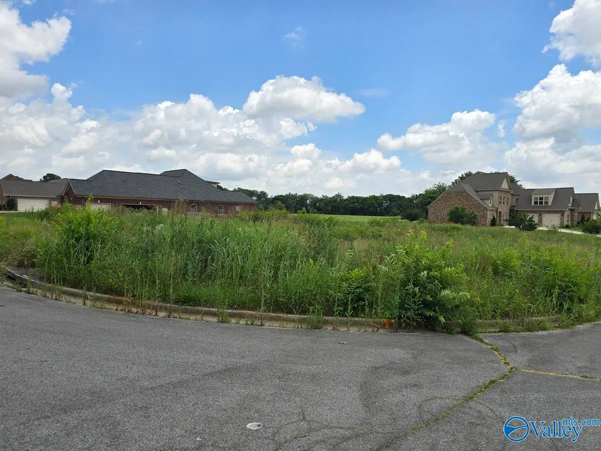 lot 24 Brigadoon Drive, Madison, AL 35757 - #1