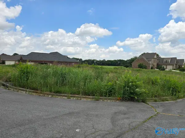lot 24 Brigadoon Drive, Madison, AL 35757