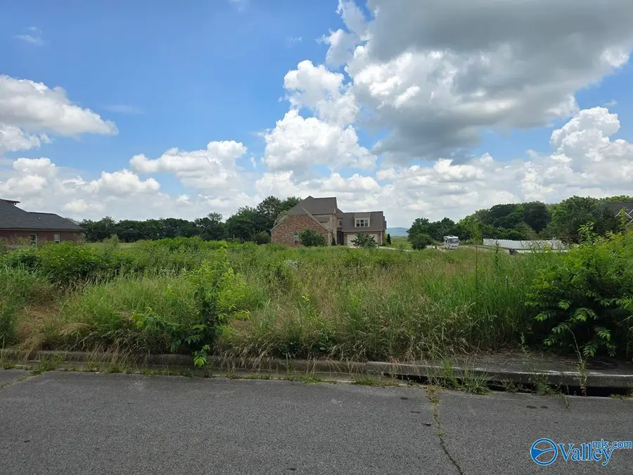 lot 24 Brigadoon Drive, Madison, AL 35757 - #2