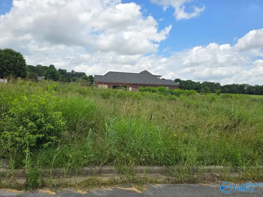 lot 24 Brigadoon Drive, Madison, AL 35757 - #3