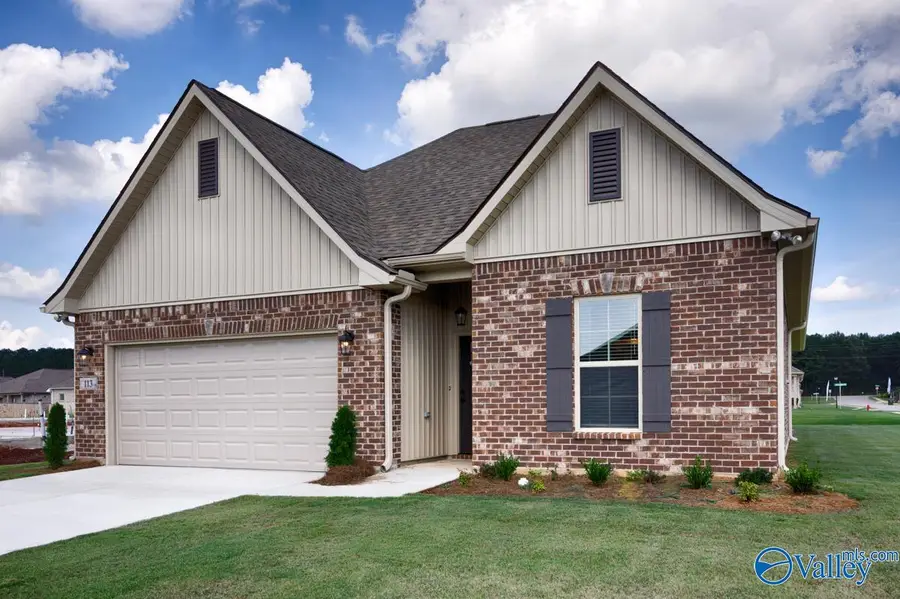 113 Junebug Drive, Madison, AL 35756 - #3