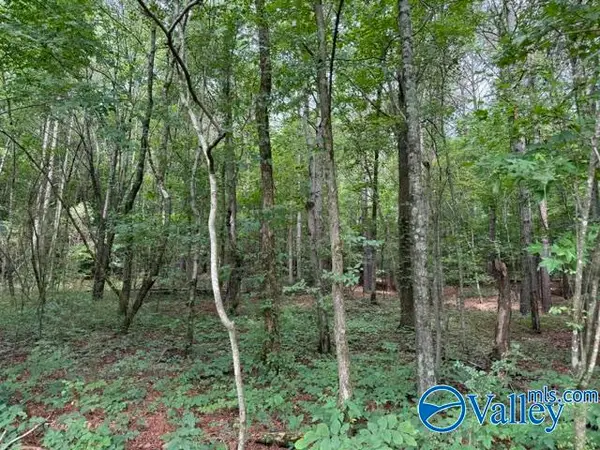 45 County Road 458, Collinsville, AL 35961