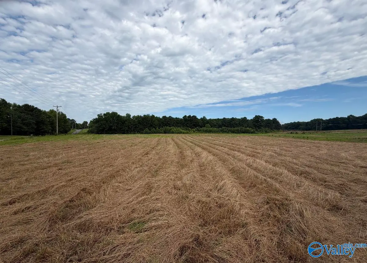 6.87 AC Pleasant Hill Road, Guntersville, AL 35976 - #1
