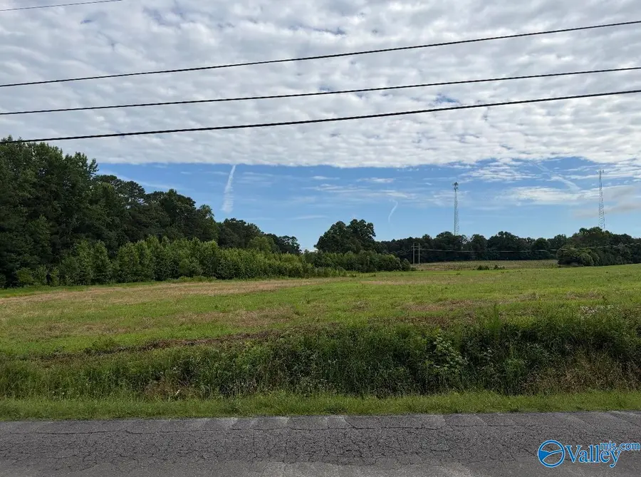 6.87 AC Pleasant Hill Road, Guntersville, AL 35976 - #3