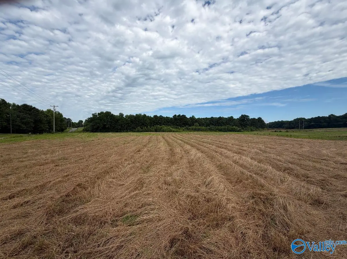 5.5 AC Pleasant Hill Road, Guntersville, AL 36976 - #1