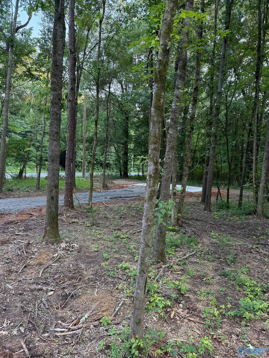 8+ acres Warrenton Road, Guntersville, AL 35976 - #2