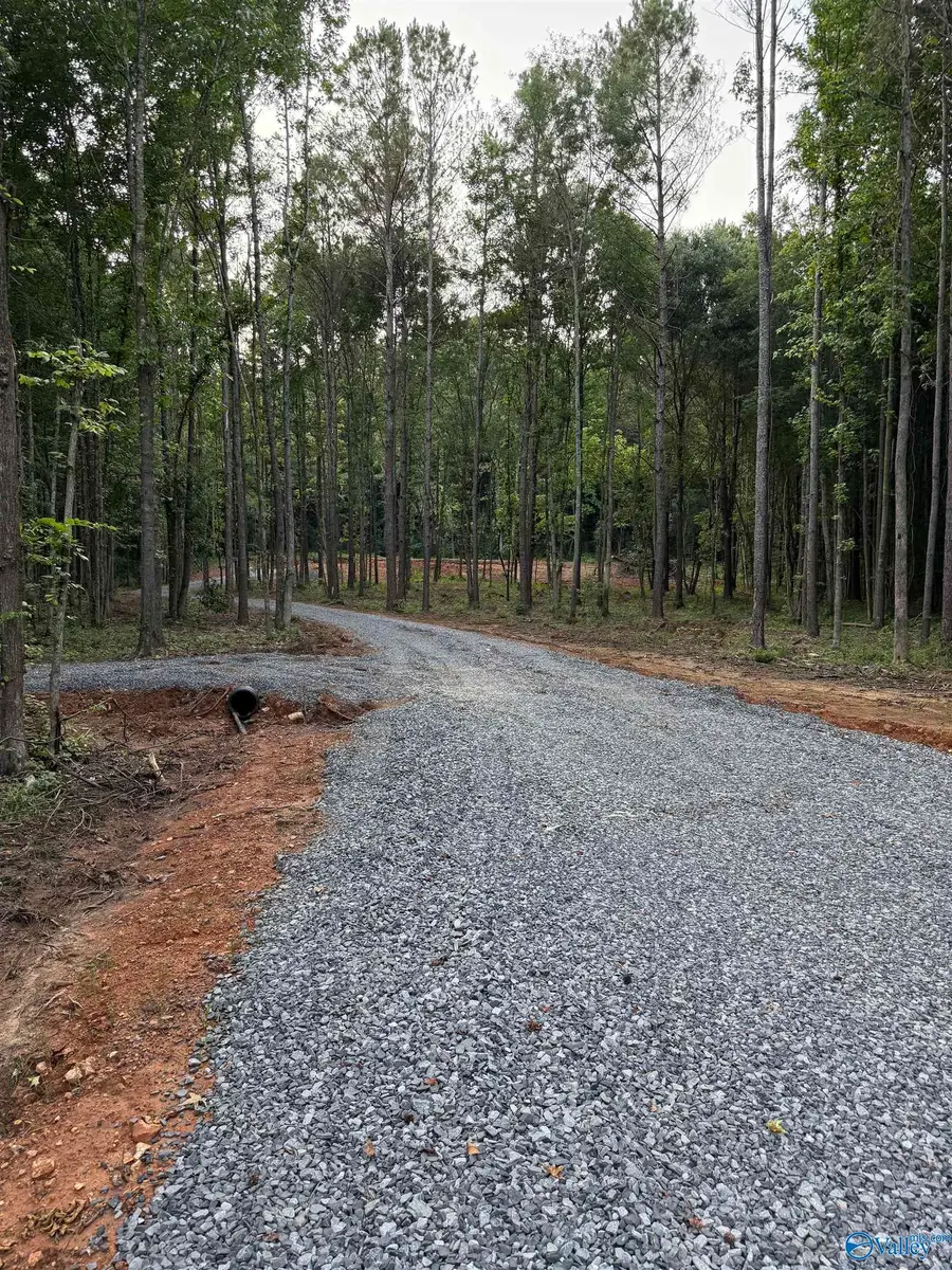 8+ acres Warrenton Road, Guntersville, AL 35976 - #3