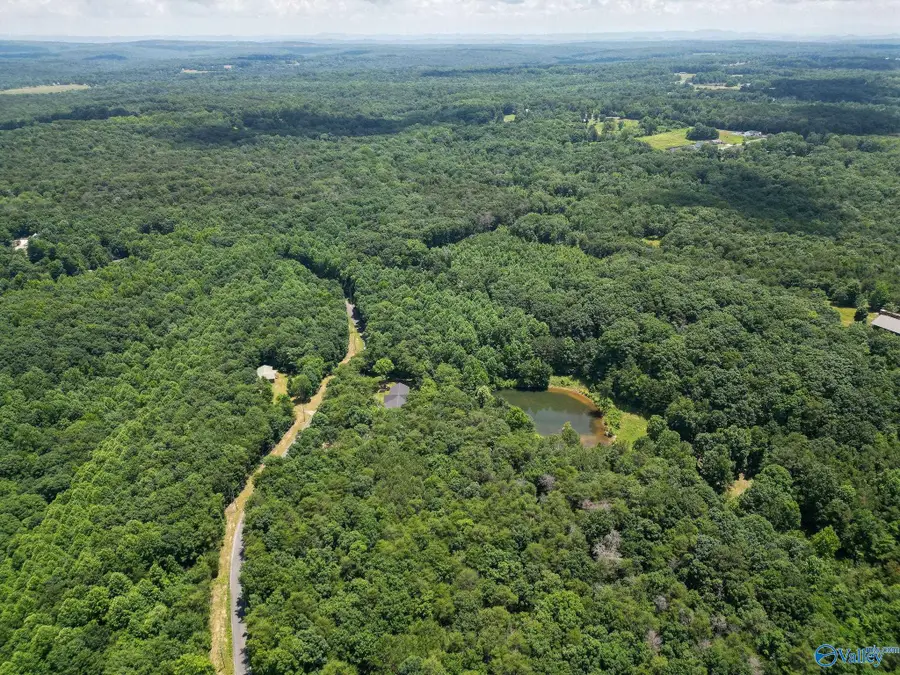 Lot 8 County Road 166 (citadel Rock Road), Fort Payne, AL 35967 - #2