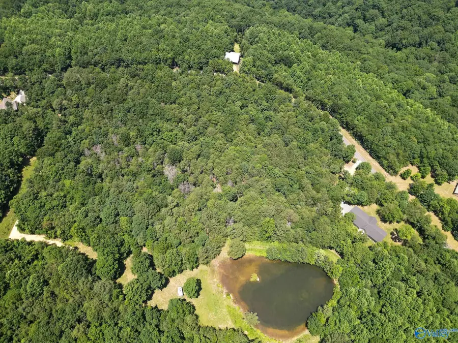 Lot 8 County Road 166 (citadel Rock Road), Fort Payne, AL 35967 - #3