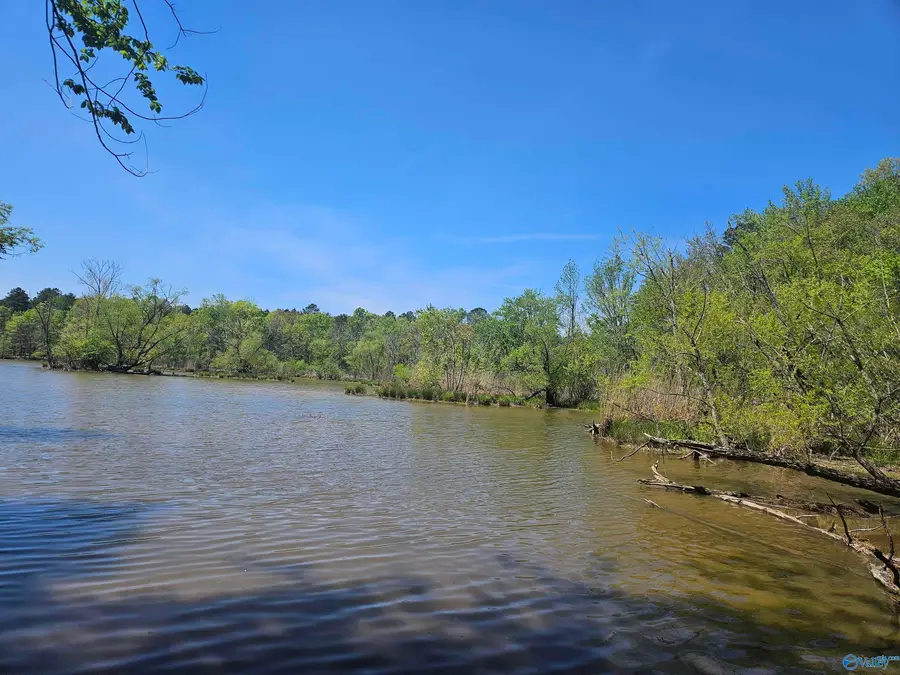 0068 County Road 117, Cedar Bluff, AL 35959 - #2