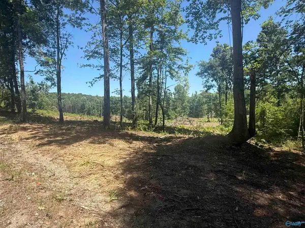 10 AC Bishop Mountain Road, Grant, AL 35747