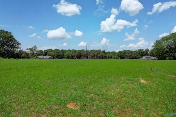 340 County Road 379, Trinity, AL 35673