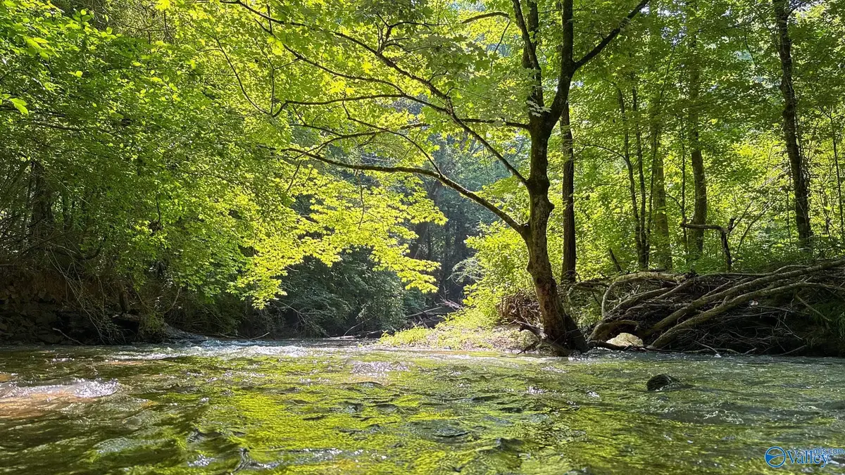 26+/- acres County Highway 26, Blountsville, AL 35031 - #1