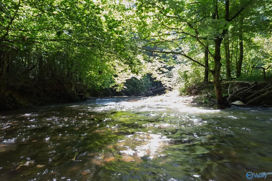 26+/- acres County Highway 26, Blountsville, AL 35031 - #2