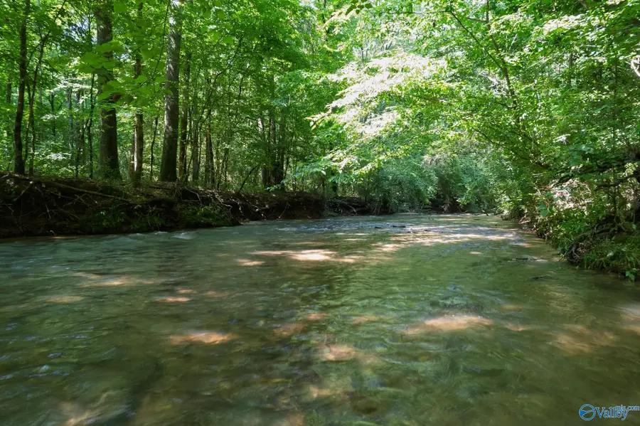 26+/- acres County Highway 26, Blountsville, AL 35031 - #3