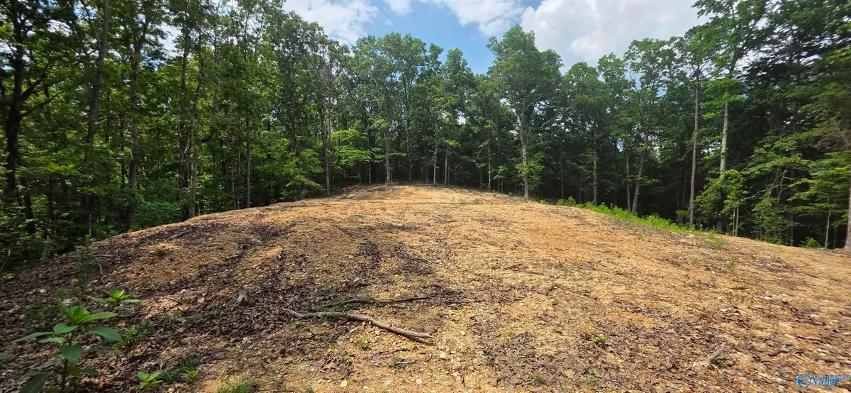 3.08ac Red Oak Drive, Valley Head, AL 35989 - #1