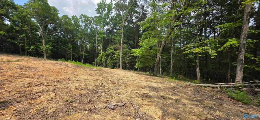 3.08ac Red Oak Drive, Valley Head, AL 35989 - #2