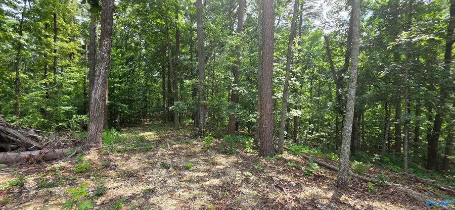 3.08ac Red Oak Drive, Valley Head, AL 35989 - #3