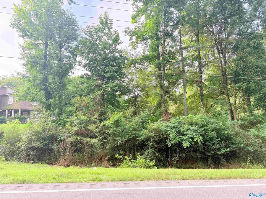 1.7 acres Al Hwy 69, Arab, AL 35016 - #3
