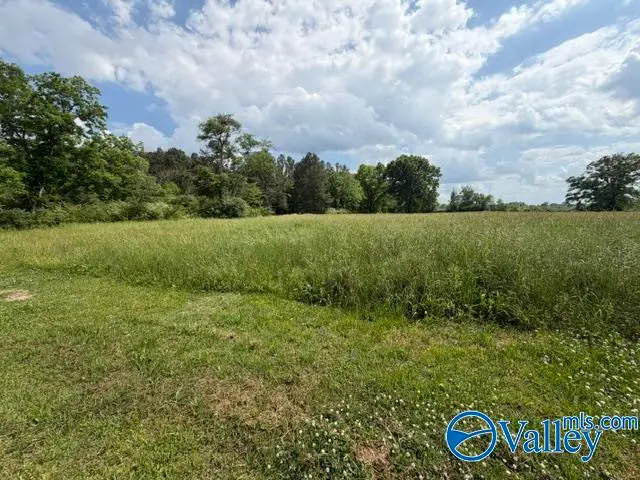 7 acres South 11th Street, Gadsden, AL 35904 - #1