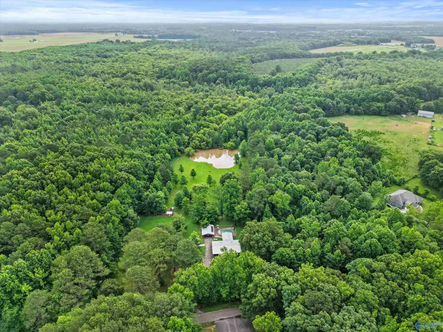 201 High Drive, Toney, AL 35773 - #3