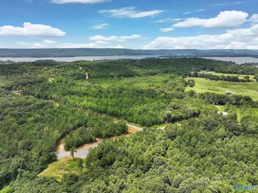 Lot 15 2.3Acres Durham Road, Langston, AL 35755 - #3